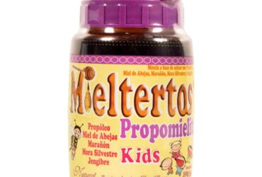MIELTERTOS PROPOMIELITO KIDS POTE 350 GR